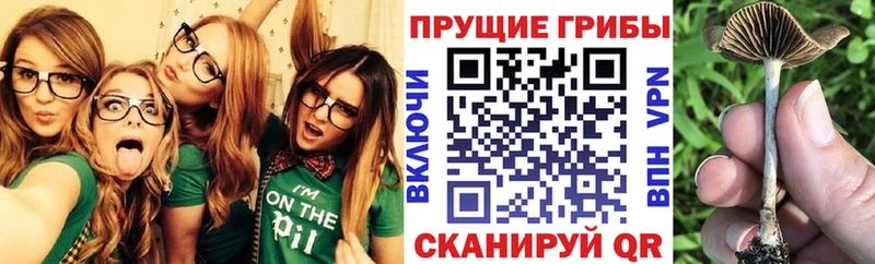 Галлюциногенные грибы мухоморы  Купить  Находка 